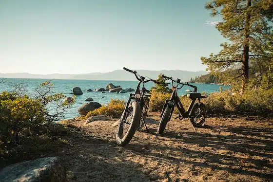Waarom een elektrische fietsverzekering 2