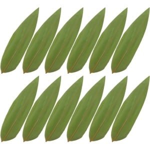 Allecto Premium - Set van 100 Japanse sushi decoratie bladeren voor verse keuken - Groene bamboebladeren - Ideaal voor sushi en grillgerechten - Sashimi matten - Bananenblaadjes vers - Koken accessoires