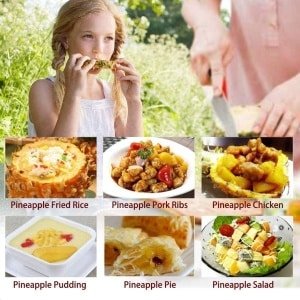 Ananassnijder: RVS ananassnijder met antislip handgreep, gemakkelijk te reinigen - keuken accessoire voor fruitstringen