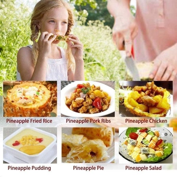 Ananassnijder: RVS ananassnijder met antislip handgreep, gemakkelijk te reinigen - keuken accessoire voor fruitstringen