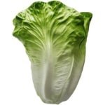 Sla Decoratie Kunstmatige Groente voor Keuken en Huis - Realistische Plastic Groenten Accessoires - Groen en Fris Ogend