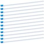 Allecto- Foliesnijder - Keukengerei - Zelfklevend - Herbruikbaar - Keuken - Thuis - Bakken - Geschikt voor Folie - Blauw Foliesnijder voor 12" Folie met Snijmes Aluminiumfolie Snijder Wrap Dispenser Thuis Keuken Accessoire Gemakkelijk in Gebruik.