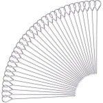 RVS rouladennaalden - 30 stuks, cocktailsticks en fruitspiesen - Set van 20 cm grillspiesen - Keuken accessoires voor vleesgerechten