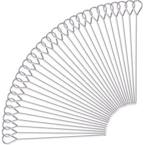 RVS rouladennaalden - 30 stuks, cocktailsticks en fruitspiesen - Set van 20 cm grillspiesen - Keuken accessoires voor vleesgerechten