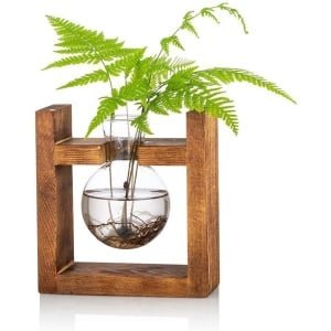 Terrarium plantenbak met houten rek en glazen vaas - decoratieve pot voor waterplanten - ideaal voor thuis, keuken en bureau - terrarium accessoires - landelijke plantenhouder