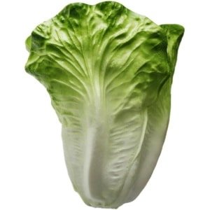 Sla Decoratie Kunstmatige Groente voor Keuken en Huis - Realistische Plastic Groenten Accessoires - Groen en Fris Ogend